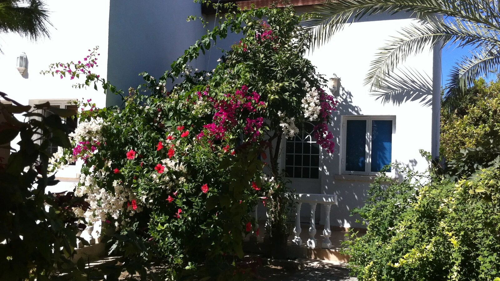 Marsin Hotel dış görünüm ve bahçe